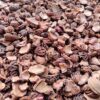 Perzikstenen gebroken steen 123natuurproducten