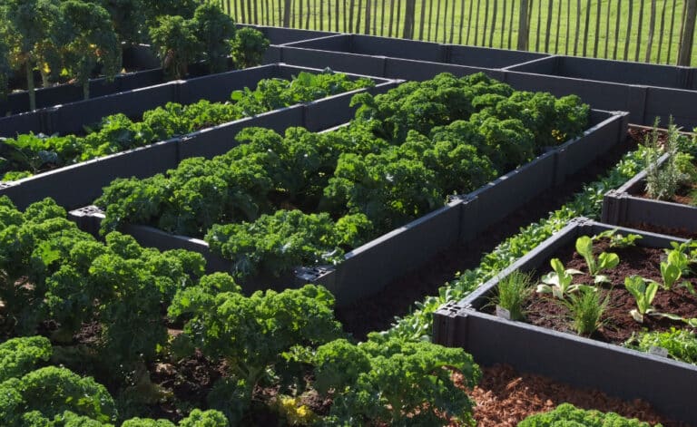 Waarom houtsnippers in de moestuin | 123Natuurproducten