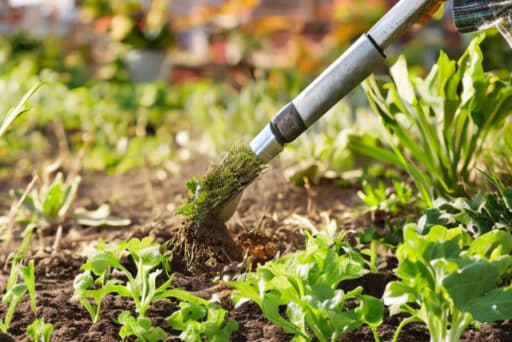 boomschors voor in de moestuinbak (940 x 627 px)