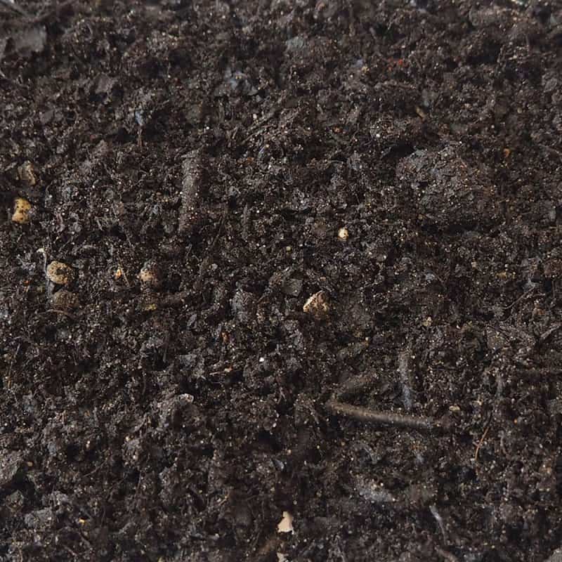 Hoeveel compost heb je per m2 nodig? 123Natuurproducten